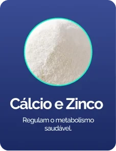 Cálcio e zinco, minerais essenciais ao funcionamento do organismo