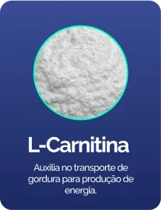 L-carnitina, composto relacionado ao metabolismo energético